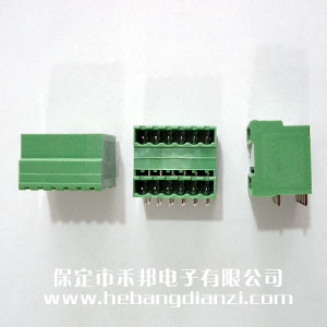 �p�Ӷ����_5.08-2*6P