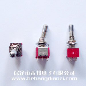 鈕子開關(guān)T80-T