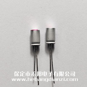 �̑B(t��i)���100uF